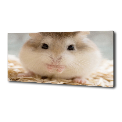 Schilderij op canvas Hamster