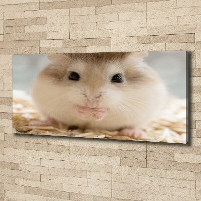 Schilderij op canvas Hamster