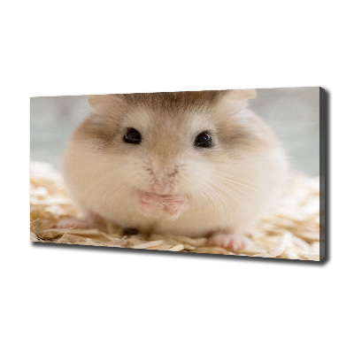 Schilderij op canvas Hamster