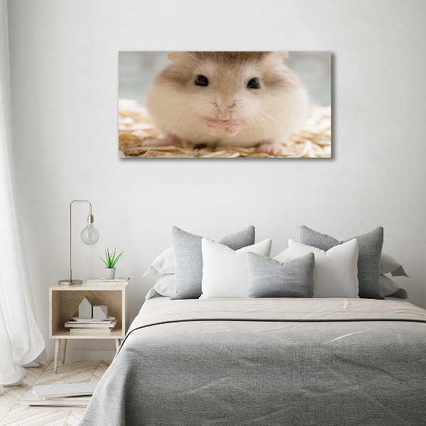Schilderij op canvas Hamster