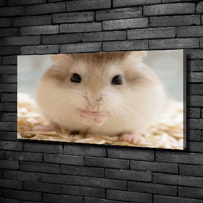 Schilderij op canvas Hamster