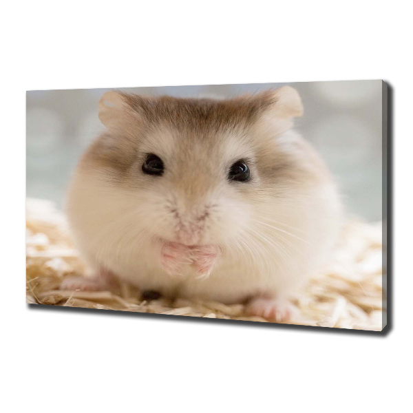 Schilderij op canvas Hamster