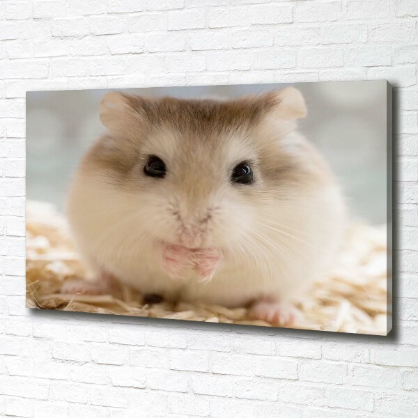 Schilderij op canvas Hamster