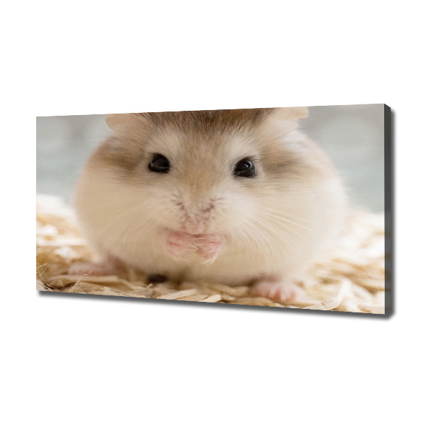 Schilderij op canvas Hamster