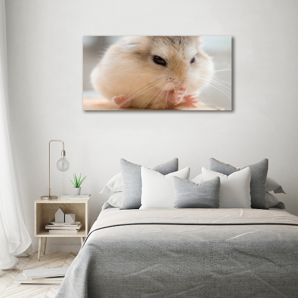 Foto canvas Hamster