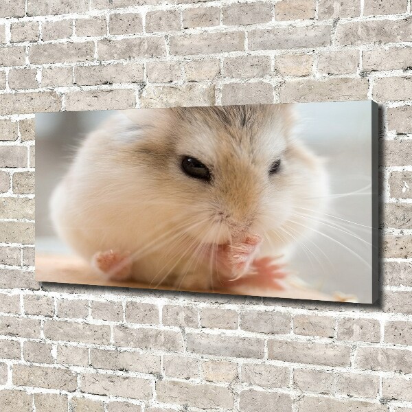 Foto canvas Hamster
