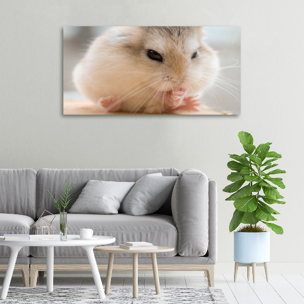 Foto canvas Hamster