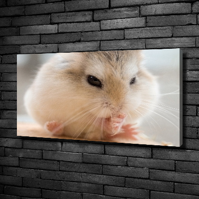 Foto canvas Hamster