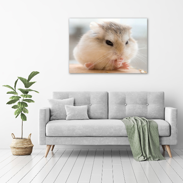 Foto canvas Hamster