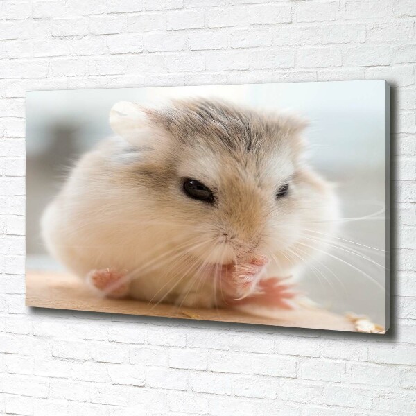 Foto canvas Hamster