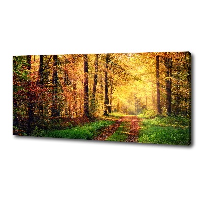 Canvas foto Bos in de herfst