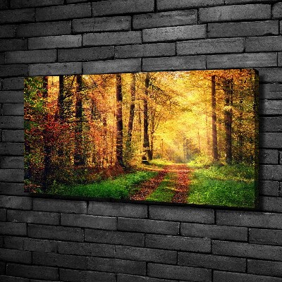 Canvas foto Bos in de herfst
