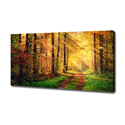 Canvas foto Bos in de herfst