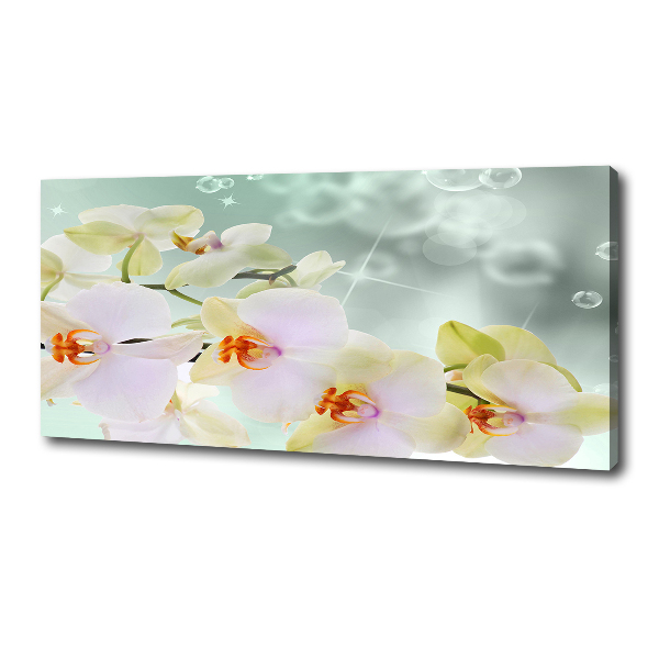 Canvas foto Witte orchidee