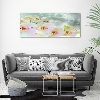 Canvas foto Witte orchidee
