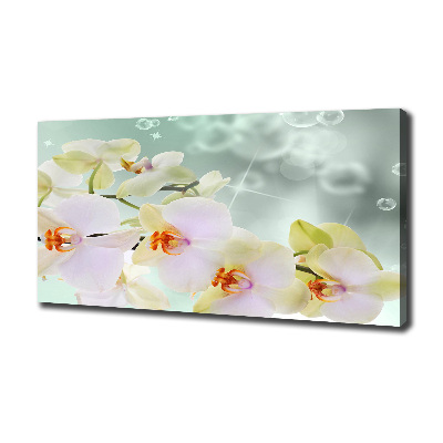 Canvas foto Witte orchidee