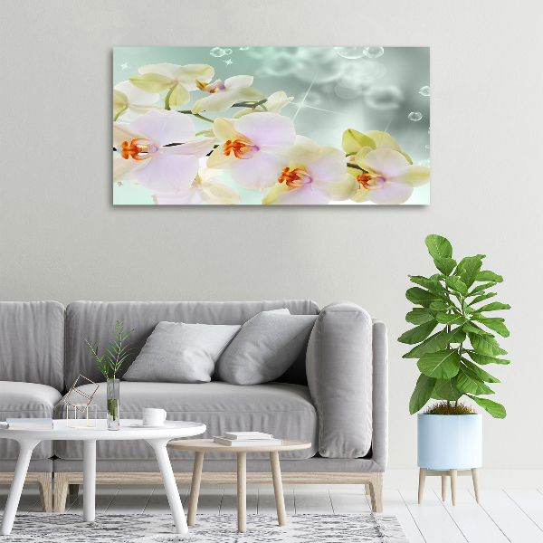 Canvas foto Witte orchidee
