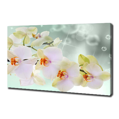 Canvas foto Witte orchidee