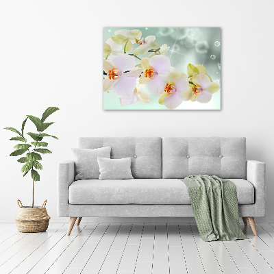 Canvas foto Witte orchidee