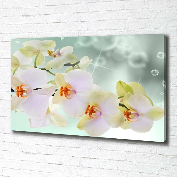 Canvas foto Witte orchidee