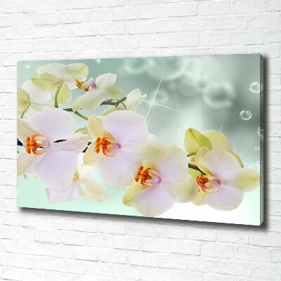 Canvas foto Witte orchidee