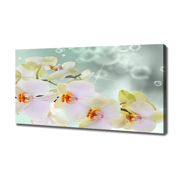 Canvas foto Witte orchidee