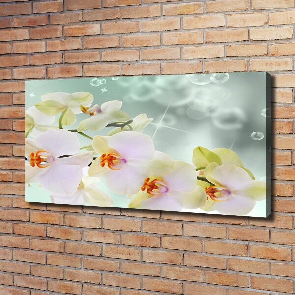 Canvas foto Witte orchidee