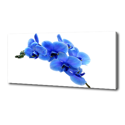 Canvas schilderij Blauwe orchidee