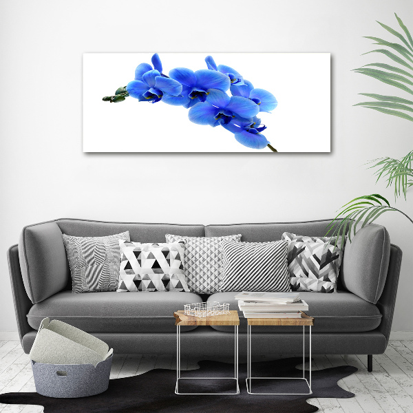 Canvas schilderij Blauwe orchidee