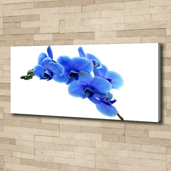 Canvas schilderij Blauwe orchidee