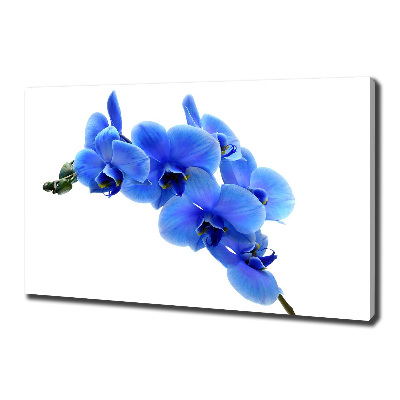 Canvas schilderij Blauwe orchidee