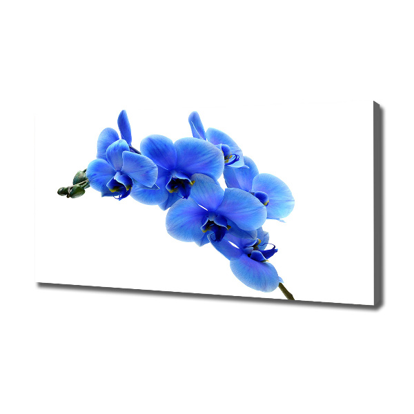 Canvas schilderij Blauwe orchidee