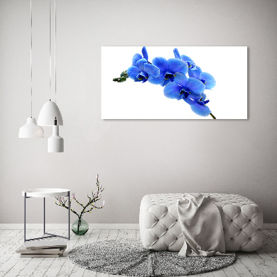 Canvas schilderij Blauwe orchidee
