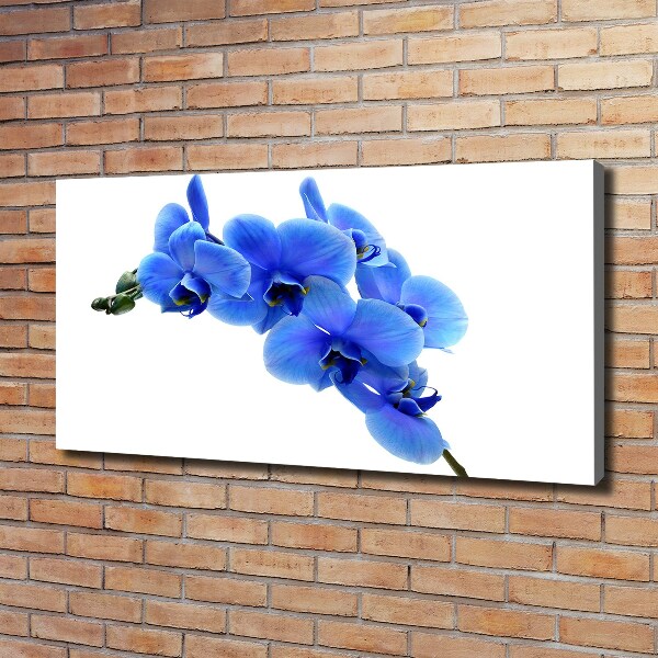 Canvas schilderij Blauwe orchidee