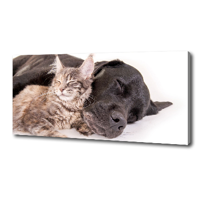 Foto op canvas Hond met kat