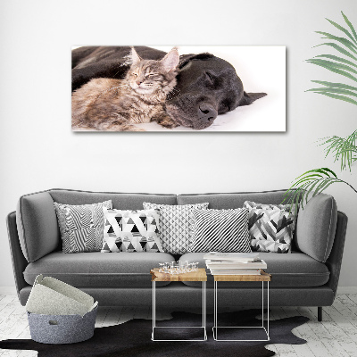 Foto op canvas Hond met kat
