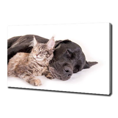 Foto op canvas Hond met kat