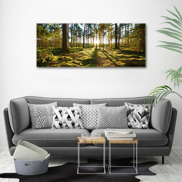 Foto canvas Dennenbos