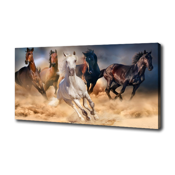 Foto canvas Paarden in galop