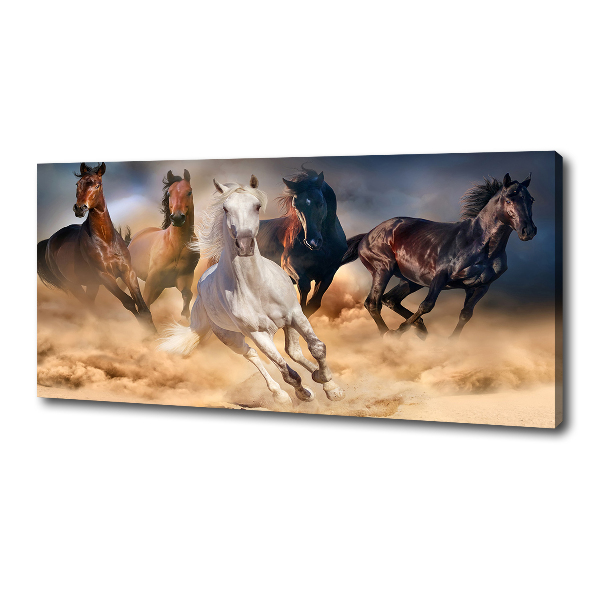 Foto canvas Paarden in galop