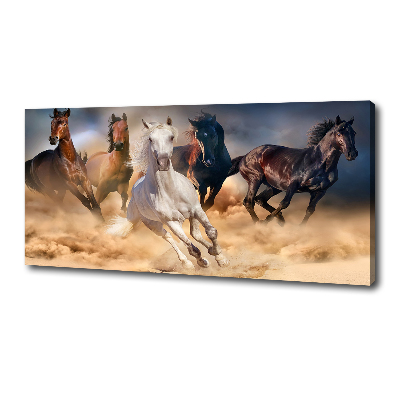 Foto canvas Paarden in galop