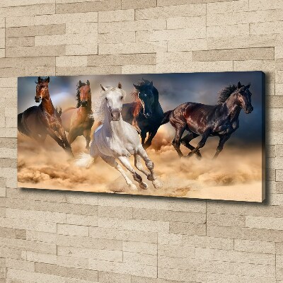 Foto canvas Paarden in galop
