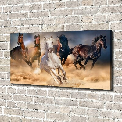Foto canvas Paarden in galop