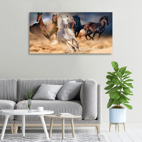 Foto canvas Paarden in galop