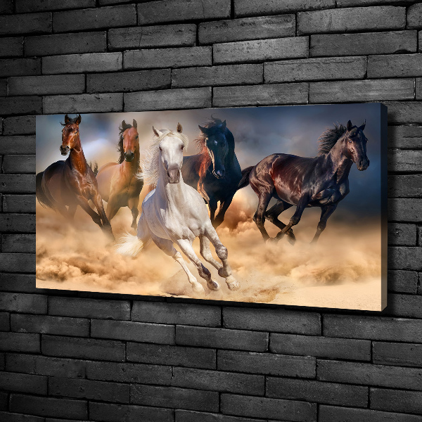 Foto canvas Paarden in galop