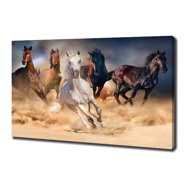 Foto canvas Paarden in galop