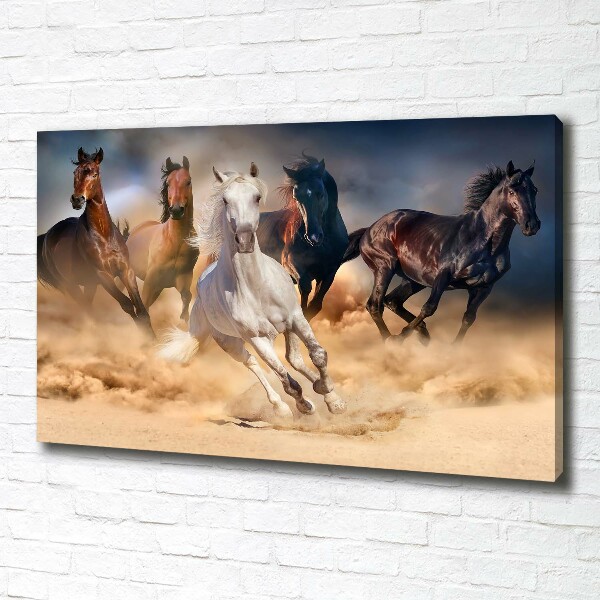 Foto canvas Paarden in galop