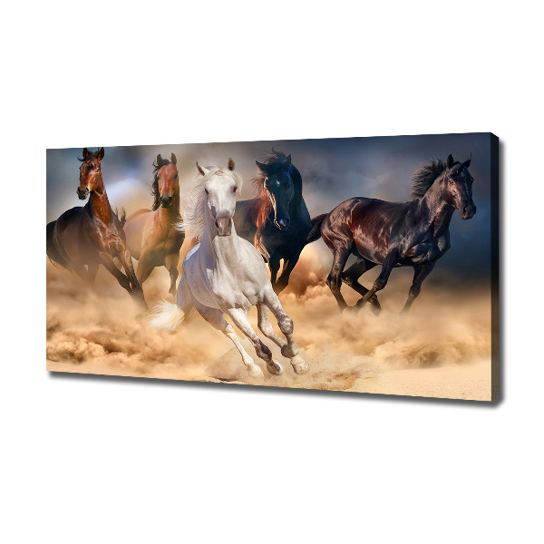 Foto canvas Paarden in galop