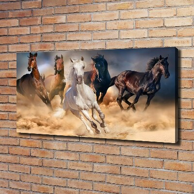 Foto canvas Paarden in galop