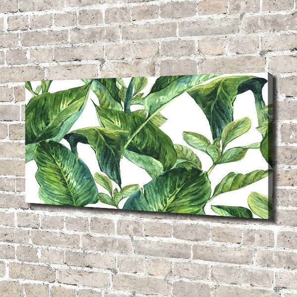 Foto canvas Bladeren